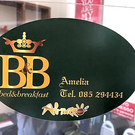 Amelia Bed & Breakfast